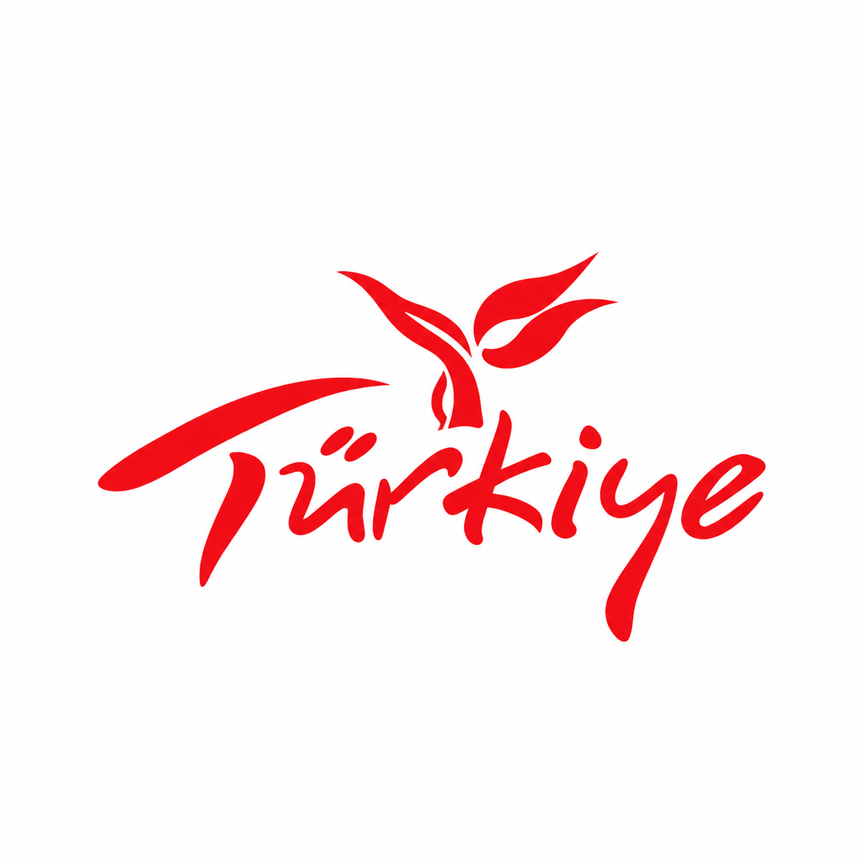 Türkiye Tourism